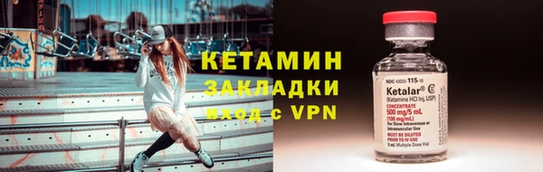 шишки Козловка