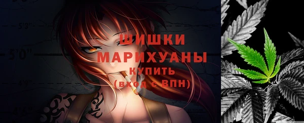 шишки Козловка