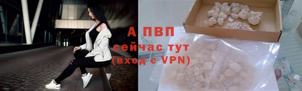 шишки Козловка