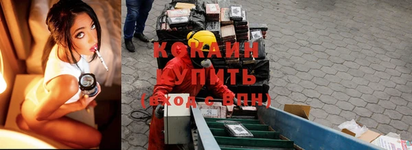 шишки Козловка