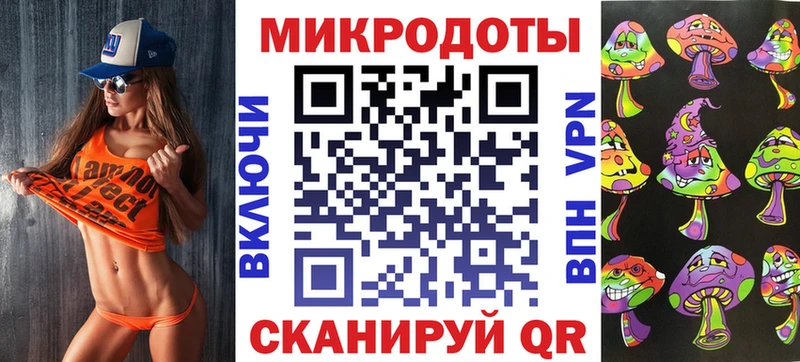 Галлюциногенные грибы Psilocybe  Купить где  Городец 